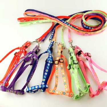 accesorios-YH24conjunto-pretal-fantasia--1680125690.jpg