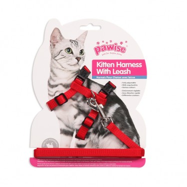 accesorios-Z9arnes-para-gato-1678549227.jpg