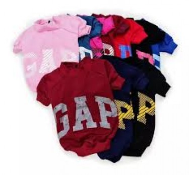 indumentaria-IND-4069buzos-gap-n4-1714155515.jpg