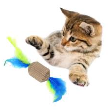juguetes-JUG-5204carton-con-pluma-con-pack-1739208824.png
